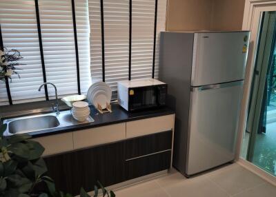 Modern kitchen with appliances and greenery