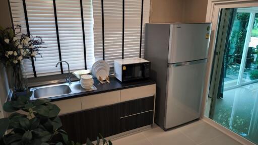 Modern kitchen with appliances and greenery