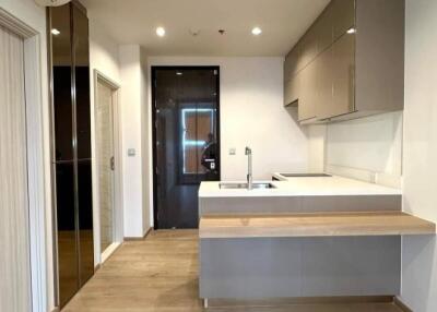 Modern kitchen with light wood flooring and built-in cabinets