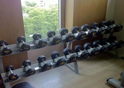 Home gym with dumbbells rack