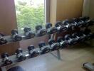 Home gym with dumbbells rack