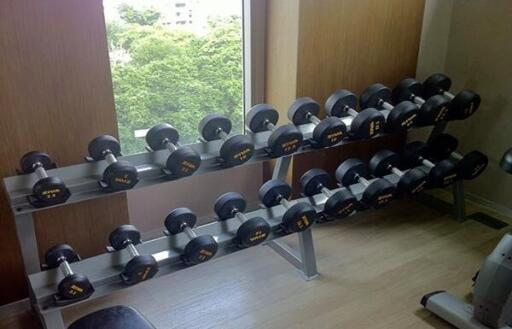 Home gym with dumbbells rack