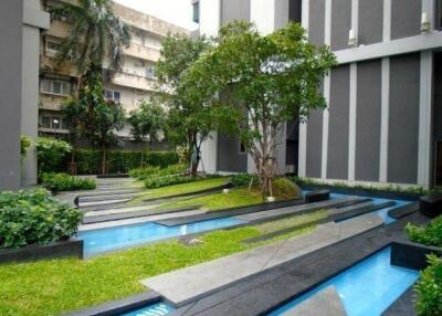 Outdoor garden at modern residential complex