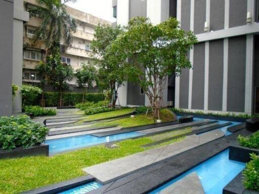 Outdoor garden at modern residential complex