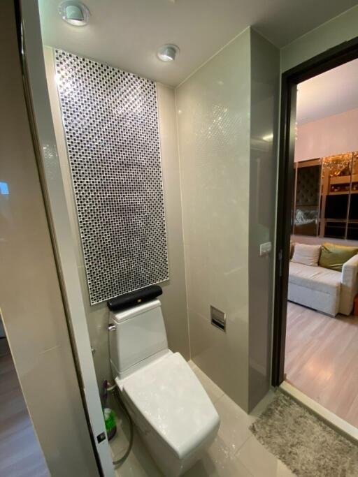 Modern bathroom with toilet and decorative wall