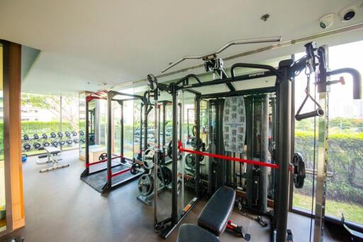 Fully equipped gym with modern equipment and natural light