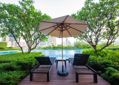 Swimming pool with deck chairs and umbrella