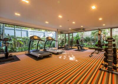 Residential gym with various exercise equipment and large windows