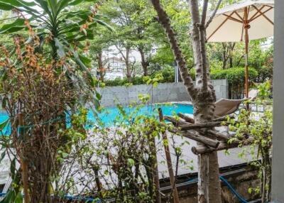 View of pool and garden area from covered patio