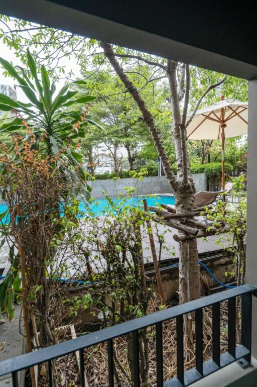 View of pool and garden area from covered patio