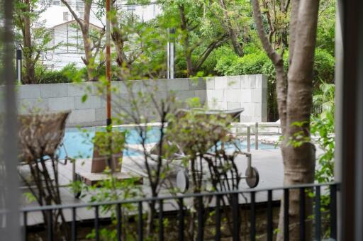 View of a garden and pool through a window