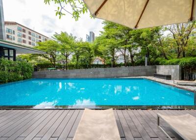 Swimming pool with deck chairs and trees in the background