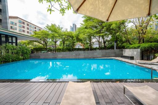 Swimming pool with deck chairs and trees in the background