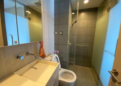 Modern bathroom with shower and toilet