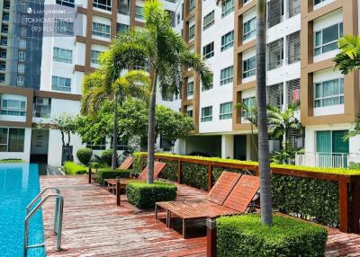 Outdoor pool area with lounging chairs and landscaped garden at an apartment complex