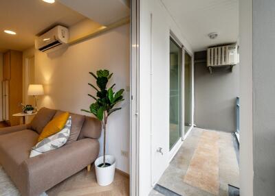 Living room area with a sofa, indoor plant, and balcony view