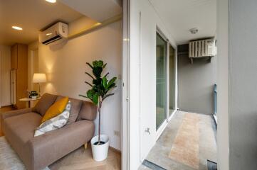 Living room area with a sofa, indoor plant, and balcony view