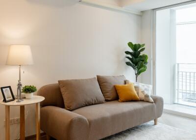 Comfortable living room with sofa and indoor plant