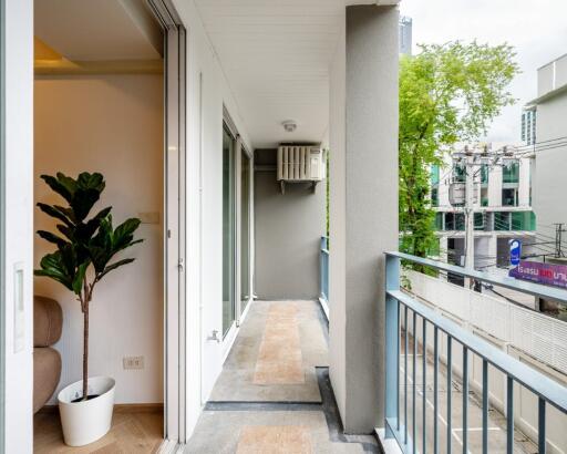 Spacious modern balcony with railing and plant