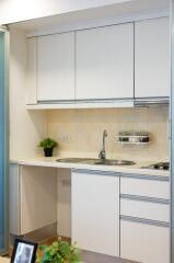 Clean modern small kitchen with white cabinets