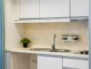 Clean modern small kitchen with white cabinets