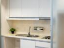 Modern kitchen with white cabinetry and stainless steel appliances