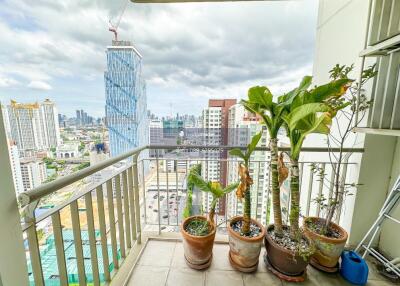 Balcony with potted plants and city view