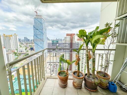 Balcony with potted plants and city view