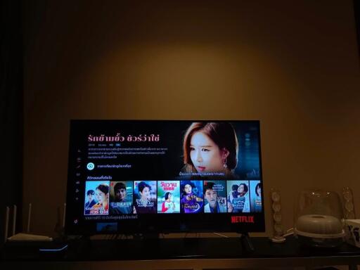 Television showing a Netflix screen in a living room