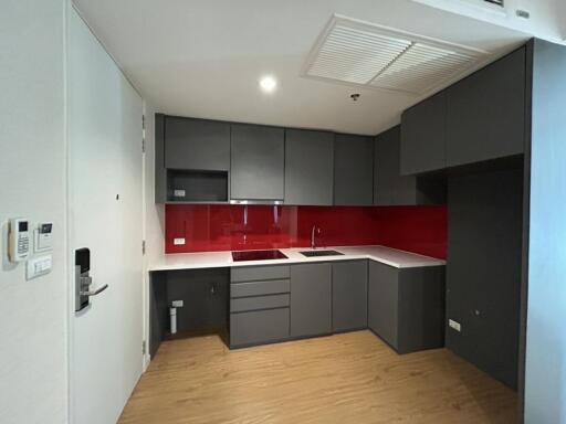 Modern kitchen with dark cabinets and red backsplash