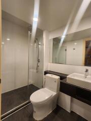 Modern bathroom with shower and toilet