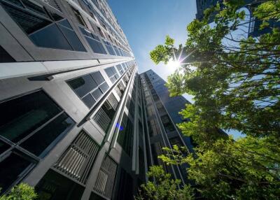 High-rise building exterior with trees and sunlight