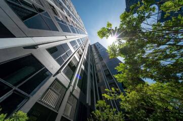 High-rise building exterior with trees and sunlight