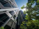 High-rise building exterior with trees and sunlight