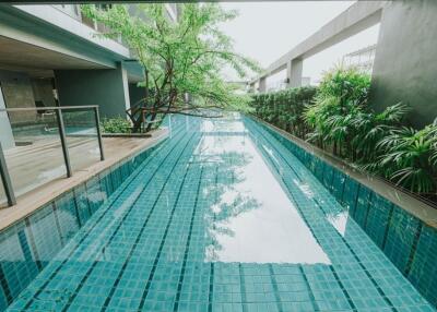 Outdoor swimming pool next to greenery