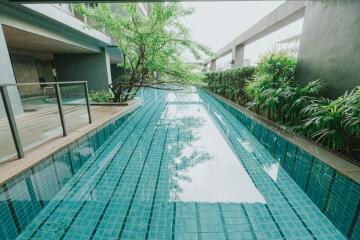 Outdoor swimming pool next to greenery