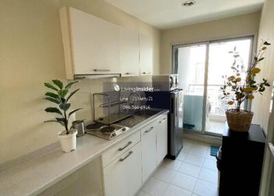 Modern kitchen with white cabinetry and potted plants