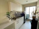 Modern kitchen with white cabinetry and potted plants