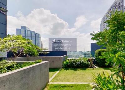 Rooftop garden with city view