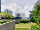 Rooftop garden with city view