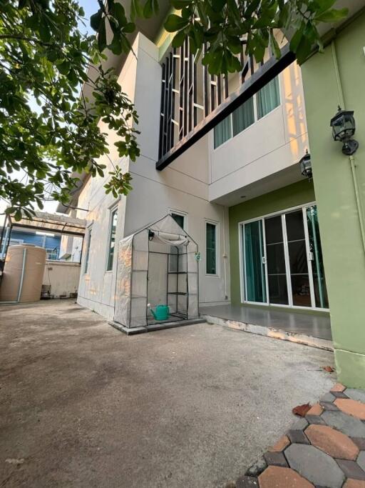 Backyard with greenhouse and patio