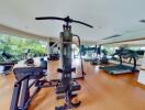 Well-equipped gym with various exercise machines and large windows.