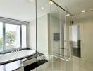 Modern bathroom with glass shower and bathtub