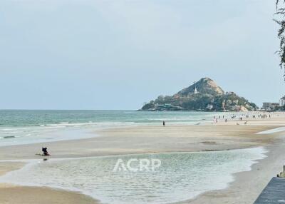 Beachfront view with a scenic mountain in the background