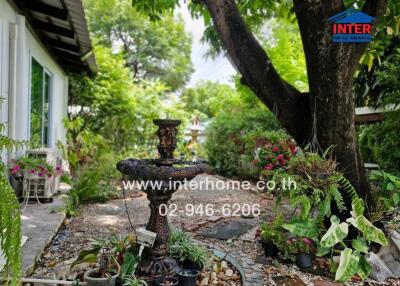 Beautiful garden with plants and a fountain