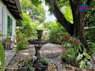 Beautiful garden with plants and a fountain