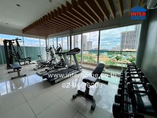 Modern gym with city view