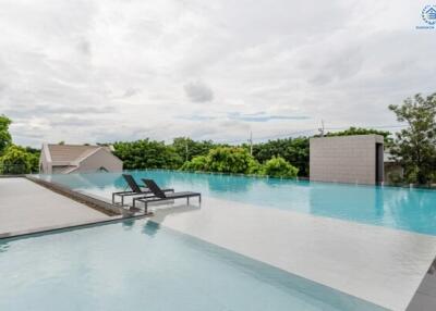 Infinity pool with deck chairs and greenery