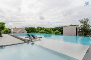 Infinity pool with deck chairs and greenery