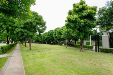 Well-maintained garden with trees and pathway